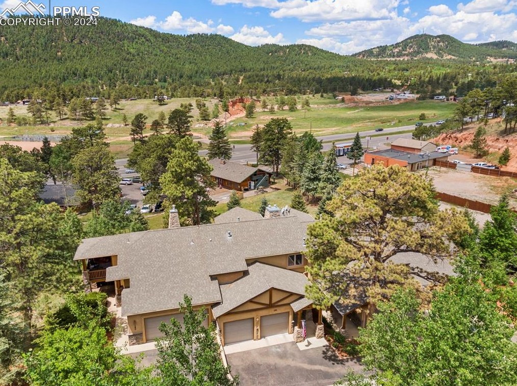 130 Elk Grove Ln, Woodland Park CO 80863-9158 exterior