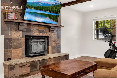 917 Centre Camino Na, Woodland Park, CO 80863 - Photo 26