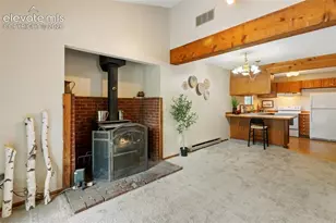 1400 Blackfoot Trail, Woodland Park, CO 80863 - Photo 20
