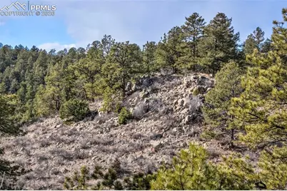 0 County Road 12, Florissant, CO 80816 - Photo 24
