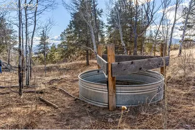 0 County Road 12, Florissant, CO 80816 - Photo 40