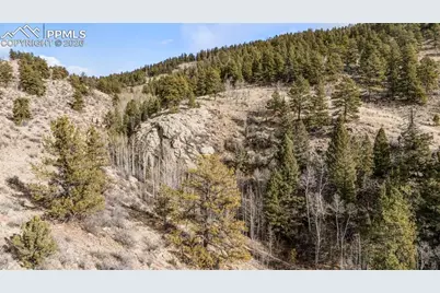 0 County Road 12, Florissant, CO 80816 - Photo 12
