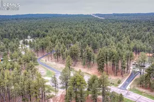 15948 Huckleberry Hts, Colorado Springs, CO 80908 - Photo 46