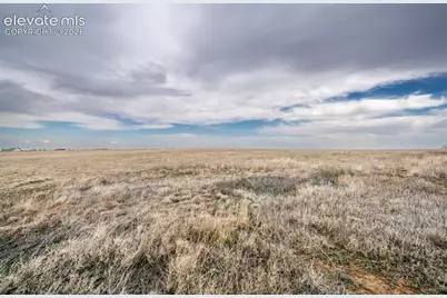 33455 Fossinger Road, Yoder, CO 80864 - Photo 10