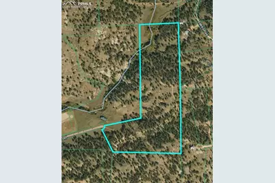 251 County Road 31, Florissant, CO 80816 - Photo 20