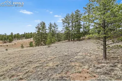 251 County Road 31, Florissant, CO 80816 - Photo 18