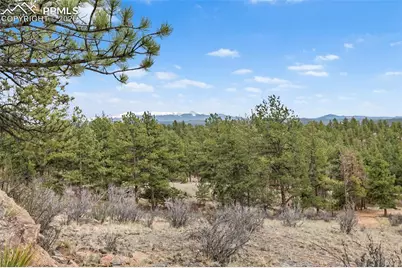 251 County Road 31, Florissant, CO 80816 - Photo 16