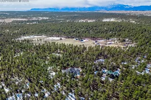 17502 Abert Ridge View, Colorado Springs, CO 80908 - Photo 48