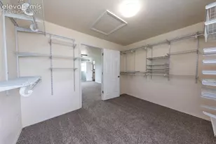 4310 Begonia Terrace, Colorado Springs, CO 80920 - Photo 26
