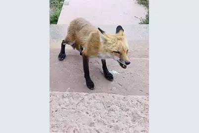 123 S Seventh Street, Victor, CO 80860 - Photo 38