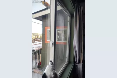 123 S Seventh Street, Victor, CO 80860 - Photo 40