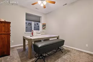 11970 Silver Concho Trail, Elbert, CO 80106 - Photo 38