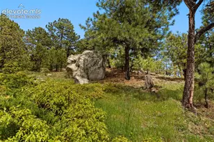 525 Silhouette Way, Monument, CO 80132 - Photo 44