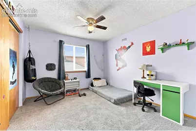6350 Emma Lane, Colorado Springs, CO 80922 - Photo 18