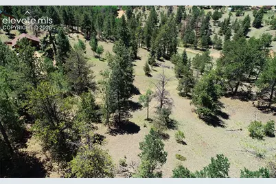 1366 N Mountain Estates Road, Florissant, CO 80816 - Photo 8