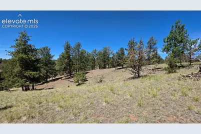 1366 N Mountain Estates Road, Florissant, CO 80816 - Photo 16