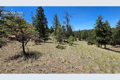 1366 N Mountain Estates Road, Florissant, CO 80816 - Photo 12