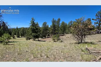 1366 N Mountain Estates Road, Florissant, CO 80816 - Photo 14