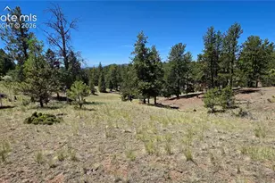 1366 N Mountain Estates Rd, Florissant, CO 80816 - Photo 1