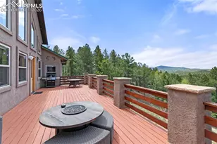 252 Running Elk Point, Divide, CO 80814 - Photo 30
