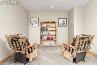 252 Running Elk Point, Divide, CO 80814 - Photo 46