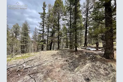 228 Alpine Drive, Florissant, CO 80816 - Photo 2