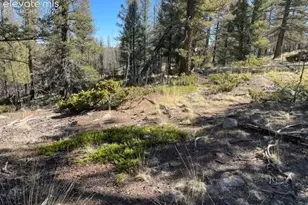 228 Alpine Dr, Florissant, CO 80816 - Photo 1