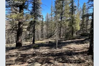 228 Alpine Drive, Florissant, CO 80816 - Photo 2