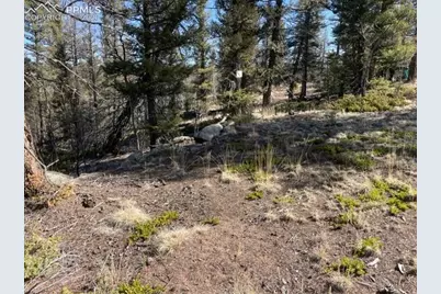 228 Alpine Drive, Florissant, CO 80816 - Photo 14