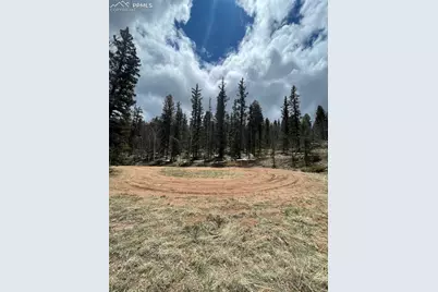228 Alpine Drive, Florissant, CO 80816 - Photo 20