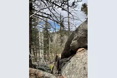 228 Alpine Drive, Florissant, CO 80816 - Photo 16