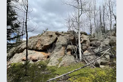 228 Alpine Drive, Florissant, CO 80816 - Photo 10
