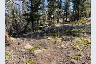 228 Alpine Drive, Florissant, CO 80816 - Photo 14