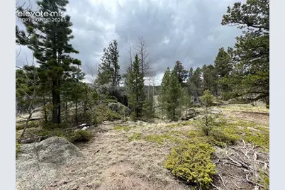 228 Alpine Drive, Florissant, CO 80816 - Photo 4