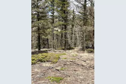 228 Alpine Drive, Florissant, CO 80816 - Photo 8