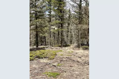 228 Alpine Drive, Florissant, CO 80816 - Photo 8