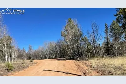 228 Alpine Drive, Florissant, CO 80816 - Photo 22