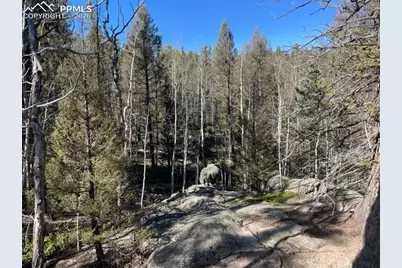 228 Alpine Drive, Florissant, CO 80816 - Photo 12