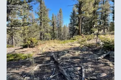 228 Alpine Drive, Florissant, CO 80816 - Photo 6