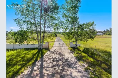 16685 Roller Coaster Road, Colorado Springs, CO 80921 - Photo 2