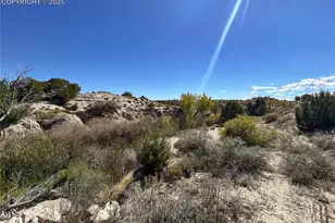 1785 County Rd 120, Penrose, CO 81240 - Photo 28