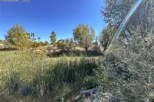 1785 County Rd 120, Penrose, CO 81240 - Photo 26