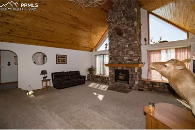 1785 County Road 120, Penrose, CO 81240 - Photo 10