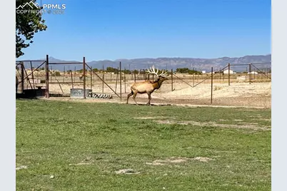 1785 County Road 120, Penrose, CO 81240 - Photo 30