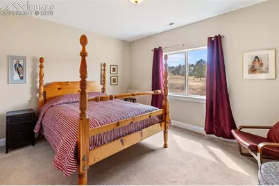 1310 Longs Point, Woodland Park, CO 80863 - Photo 32