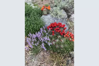 2023 S Corona Avenue, Colorado Springs, CO 80905 - Photo 22