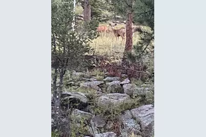 1652 Penrose Circle, Cripple Creek, CO 80813 - Photo 22