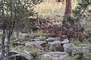 1652 Penrose Cir, Cripple Creek, CO 80813 - Photo 22