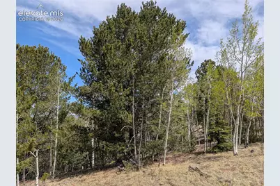 905 May Queen Drive, Cripple Creek, CO 80813 - Photo 6