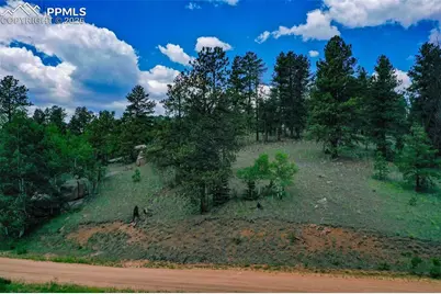 525 Spring Valley Lane, Florissant, CO 80816 - Photo 2